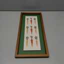 Begin Home Decor 19×9 in. Watercolor Carrots - Framed Matted Print for Home Decor