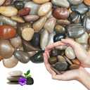 Lechloris 20Ib Rain Forest Mixed River Rocks for Landscaping-Polished Pebbles for Plants-Garden Decorative Stones-1-2 Large Plant Rocks,Ideal for Aquarium, Home Decor