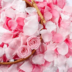300 PCS Real Pink White Rose Flower Petals Confetti for Wedding Flower Girl to Throw, 2.82oz Freeze Dried Rose Petal for Proposal Centerpieces Romantic Night Decor