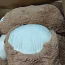 Teddy Bear Cushion
