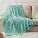 Bedsure Throw Blankets for Couch - Textured Chunky Knit Woven Chenille Blanket - Super Soft, Warm Decorative Boho Throw with Tassels for Bed, Sofa and Living Room Decor, Sky Teal, 50x60 Inches (Throw (50" x 60"), 02 - Sky Teal)