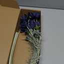 4PCS Navy Blue Silk Cosmos Flowers 24'' Wild Flowers Artificial Fake Flowers Arrangement for Wedding Party Kitchens Home Decoration(Navy Blue)