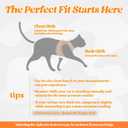 rabbitgoo Cat Harness and Leash Set for Walking Escape Proof, Adjustable Soft Kittens Vest with Reflective Strip for Cats, Comfortable Outdoor Vest,Light Orange,L