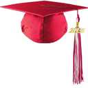 8 x 2025 Graduation Tassels Red/White,Honor Grad Tassels with Gold Year Charm