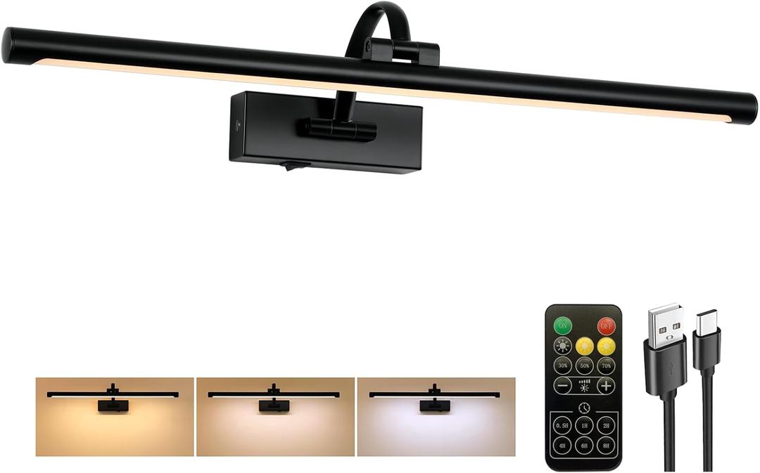 Tassuowell Picture Light Battery Operated with Remote, 3CCT Dimmable Picture Light for Paintings, Black Rechargeable 24 inch Battery Operated Wall Sconce for Art Lighting Gallery Portrait Artwork