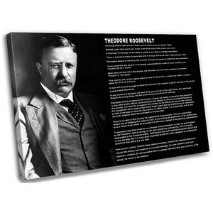 Theodore Roosevelt Quotes wall art inspirational poster canvas painting framed pictures wall art poster for office decor ready to hang (16x24 inch)