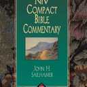 NIV Compact Bible Commentary