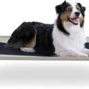 K&H Pet Products Outdoor Elevated Dog Cot, Breathable Cooling Elevated Cot Hammock Pet Bed for Large Dogs, Washable Mesh Cover, Raised Metal Frame, Collapsible, Portable - Large 42 X 30in Taupe