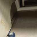 Dog Stairs for Small Dogs,3-Step Bamboo Wooden Dog/Pet/Cat Steps Ramp for Couch Sofa,Bed and Car, Can Support Weighing Up to 160 LB,