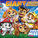 Paw patrol activity book