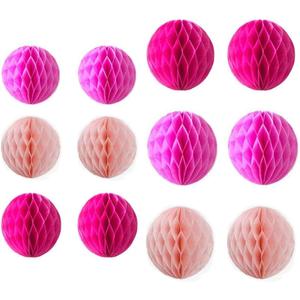12pcs 8 inch 10 inch Tissue Paper Honeycomb Balls Party Backdrop Decoration Paper Flower Balls Craft Kit for Wedding Room Birthday Baby Shower (Pink Set)