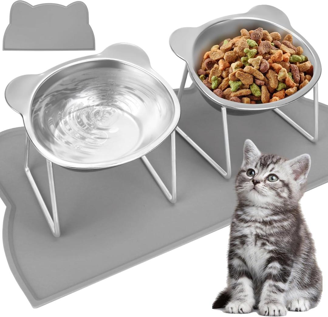 Elevated Cat Bowls, 2 Pack Raised Cat Food Water Bowls with Non-Slip Placemat, 15 Tilted Stand Anti Vomiting Stainless Steel Pet Food Feeding Dishes Plate for Cats Kitten Puppies Dogs Small Animals