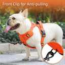 PoyPet No Pull Dog Harness, No Choke Reflective Dog Vest, Adjustable Pet Harnesses with Easy Control Padded Handle for Small Medium Large Dogs(Orange Matching Trim,XS)