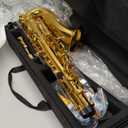 Eastar AS- Student Alto Saxophone E Flat Gold Lacquer Alto Beginner Sax Full Kit With Carrying Sax Case Mouthpiece Straps Reeds Stand (Golden)