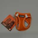 Voyager Step-In Air Dog Harness - All Weather Mesh, Reflective, No Pull Harness for Small, Medium Dogs, Cats - Secure with Hook & Loop Fastener, Buckle, Double D-Rings - Orange, XXXS (XXXS (Chest: 11 - 12" * Fit Cats))