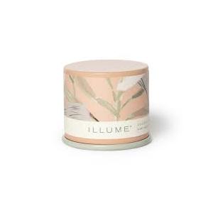 Candle Coconut Milk Mango Vanity Tin