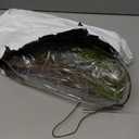 1Pcs 78.9inch Large Bendable Artificial Tree Branches Moss Sturdy Hanging Plants Leaves Grape Vines Thick Tree Trunk Twigs Greenery Stems Cherry Blossom Garland for Halloween Outdoor Forest Decor