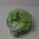 40 Inch Horse Ball Toy Mega Herding Ball Giant Horse Soccer, Pump Included (Green)