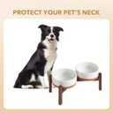Havniva 7.3" Elevated Dog Bowls Ceramic Raised Dog Bowl with Non-Slip Stand (Acacia Wood) Weighted Dog Food & Water Bowl for Medium Breed Dogs - 5 Cups 41 oz