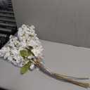 6 x 6PCS White Delphinium Artificial Flower Lifelike Larkspur Silk Flowers Plant 35.43'' Long Stem Blossoms Fake Flowers for Tall Vase Floral Arrangements Home Table Wedding Decor(White)