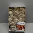 Alupssuc 24 PCS 3 Styles 6'' Poinsettia Christmas Flowers Artificial, Glitter Artificial Flower, Christmas Decorations for Xmas Tree Party Wreath Fireplace, New Year Ornaments, Champagne Gold