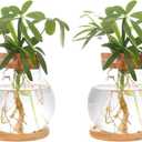 Plant Propagation Station,Hydroponic Glass Container Vase Jars, with Wooden Saucer for Desks, Houses, Garden Decorations, Home Kitchen Decorations and Gifts for Plant Lovers (2)