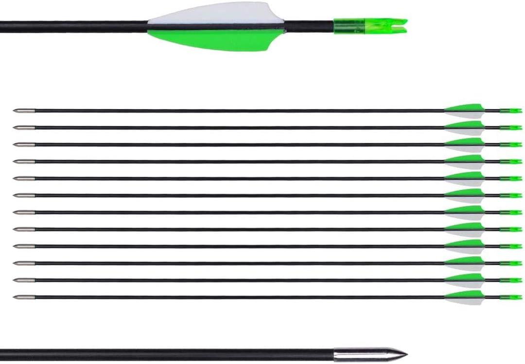 LWANO 31" Training Arrows-Archery Practice Target Arrows for Kids Youth or Beginners with Durable Shaft on Recurve Bow Compound Bow and Longbow (12pas Arrows, Green)