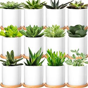 Cindeer 12 Pack Small Succulent Plants Pots 3 Inch Ceramic Flower Planter Pot and Bamboo Tray with Drainage Hole for Succulents Cactus Indoor Garden Decorations, Plant Not Included(White)