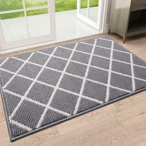 Finchitty Indoor Door Mat, Dirt Resistant and Absorbent, Low-Profile, Non-Slip, Washable Inside Floor Mats for Front Door, Back, and Entrance, 36" x 24", Grey