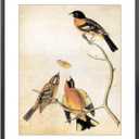 10x12 Picture Frame, Black Aluminum Metal Photo Frames with HD Glass, Fits 8x10 with Mat or 10 x 12 without Mat, Display for Wall, 1 Pack