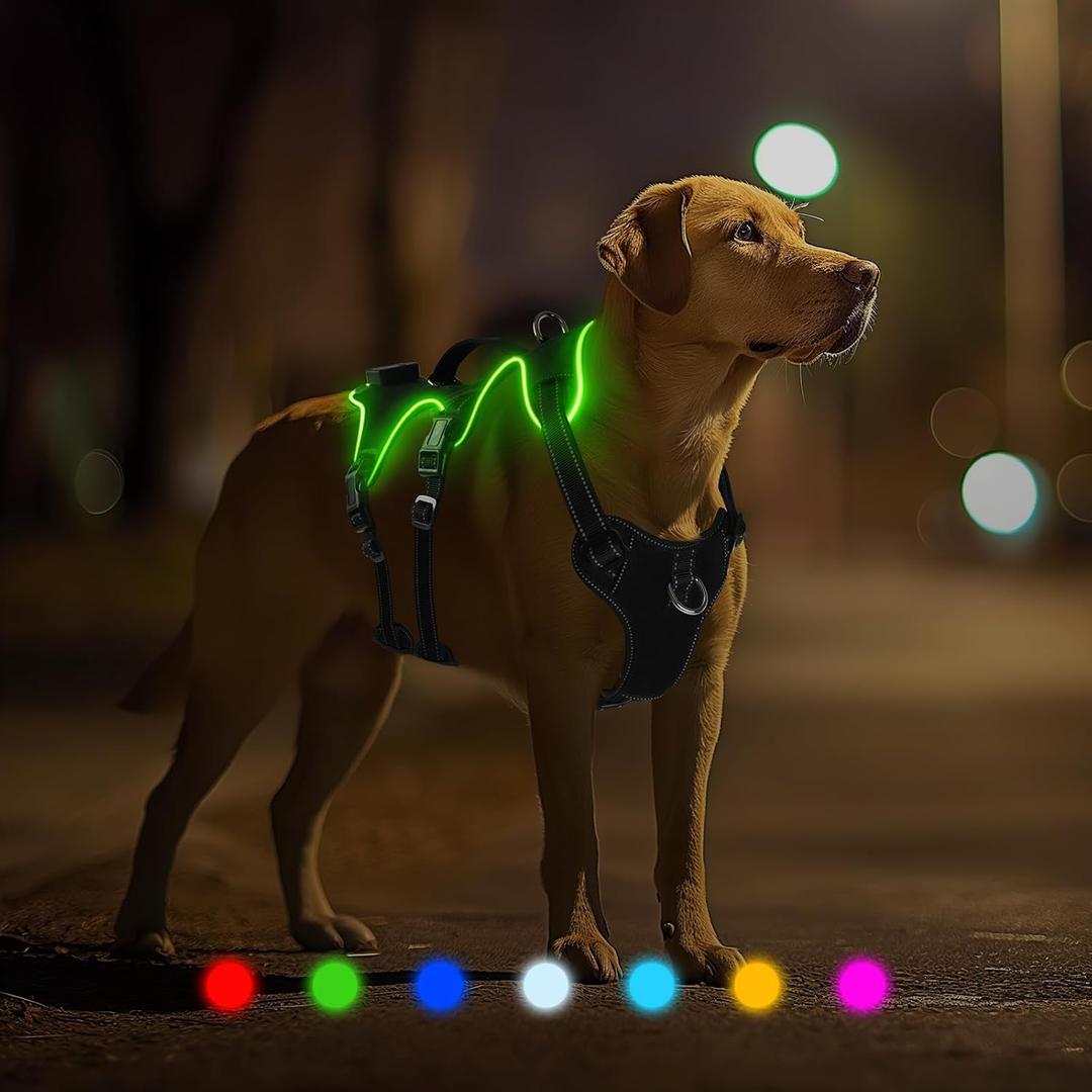 Light Up Dog Harness, 7 Color Changing LED Dog Harness, Rechargeable No Pull Dog Vest Harness, Adjustable Rainproof Pet Harness, Glowing Dog Vest Harness for Dogs Night Walking