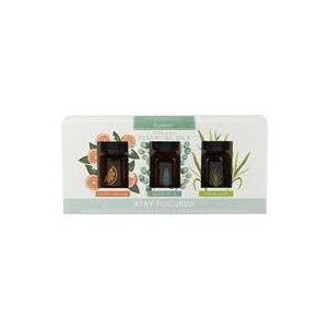 Essential Oil Stay Focused Sweet Orange And Lemongrass 4Pcs Essential Oil Stay Focused Sweet Orange And Lemongrass 4Pcs