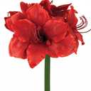 Red Amaryllis Artificial Flower Arrangement 11.8" Faux Silk Amaryllis in Glass Vase with Faux Water Pebbles Fake Floral Centerpiece for Home Office Room Table Shelf Rustic Décor