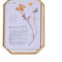 NCYP Small 5 x 7 inch Floating Glass Frame with Chain for Picture, Photo, Pressed Dried Flowers, Plant Specimen - Vintage Octagon Home Gallery Wall Mounted Decor, Gold (Glass Frame Only)