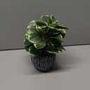 Artificial Plants Indoor Outdoor, Faux Variegated Oak Leaf Plant, Fake Potted Plants Artificial Decor for Coffee Table Desk Shelf, Faux Plants Indoor for Living Room Bathroom Bedroom Entryway Office (Green#02)