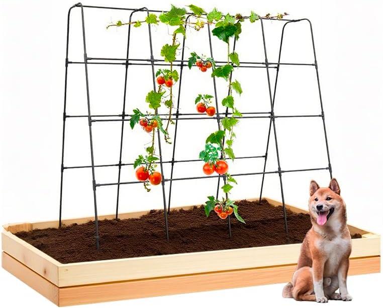Cucumber Trellis for Climbing Plants, Outdoor Garden Arch 5.3x5.3ft Metal Plant Trellis Arch Support Vegetable Fruit Tomato Vine Peas Beans Frame for Raised Bed, Black