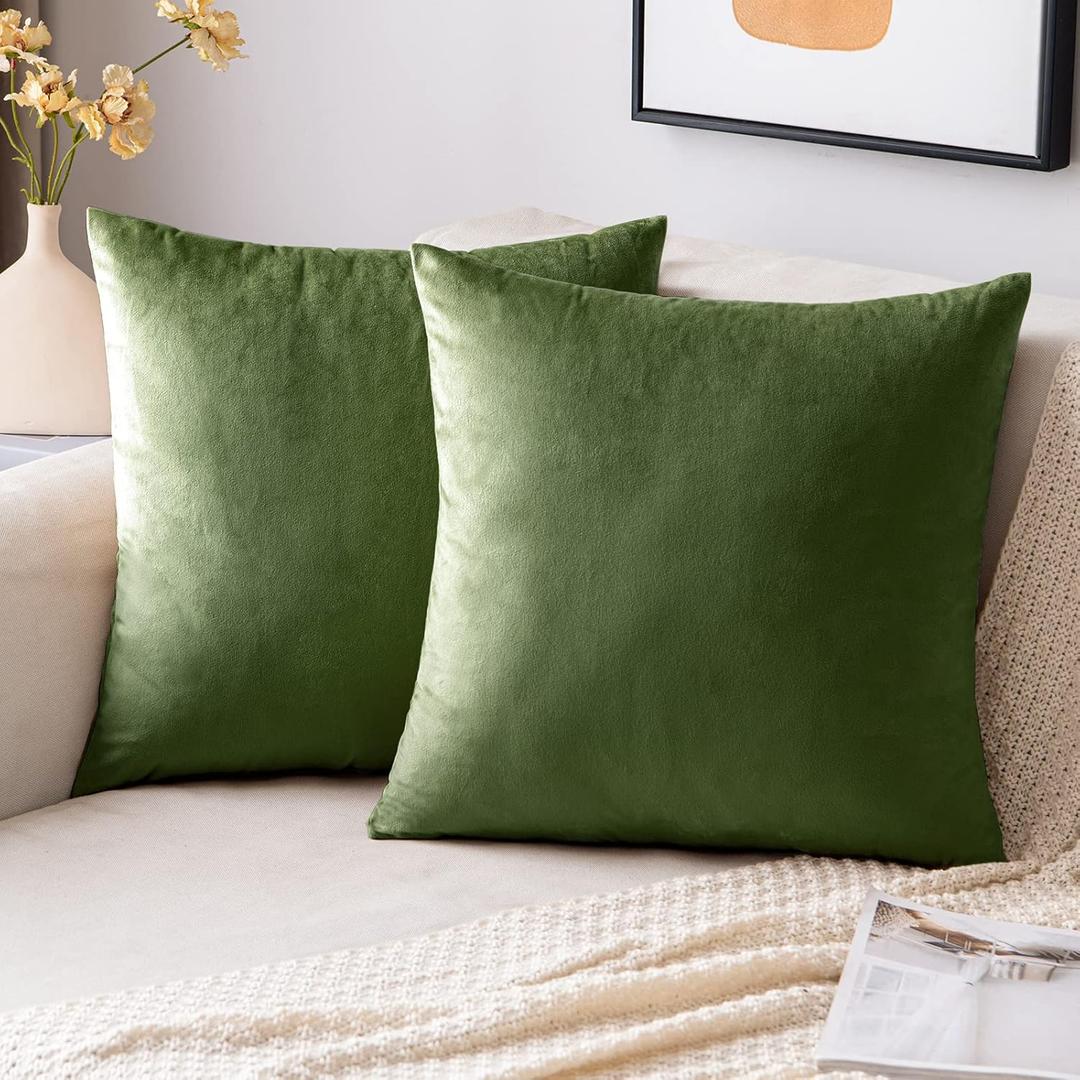 EMEMA Pack of 2 Velvet Throw Pillow Covers Decorative Square Pillowcase Soft Solid Cushion Case for Sofa Bedroom Chair Car 18x18 Inch Moss Green