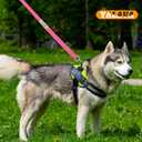 2 x YALAVA 5FT Dog Leash with Soft Padded Handle, Heavy Duty Nylon Reflective Dog Leashes, Fits Small Medium or Large Dogs, Pink