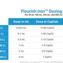 Seachem Flourish Iron 250ml