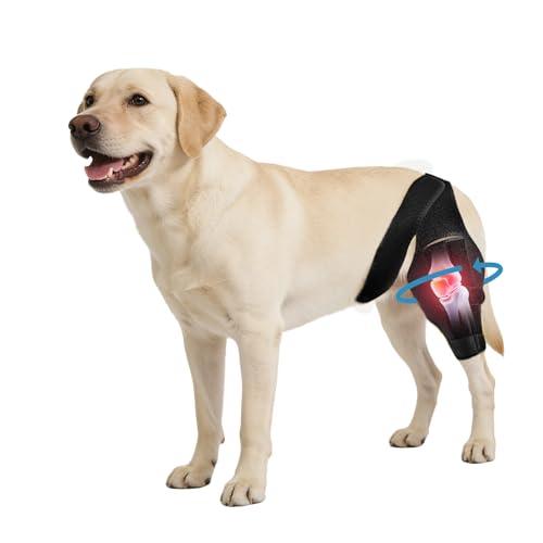 Noorace Dog Knee Brace for Torn ACL/CCL & Hind Leg Support - Adjustable Brace for Arthritis Relief, Joint Stability & Injury Recovery - Large