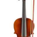Vasitelan 3/4 Violin for Beginners, Fiddle for Students and Enthusiasts, Acoustic Violin Kit with Case, Bow, Rosin & Manual (Brown)