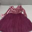 Flofallzique Toddler Party Dress Long Sleeve Velvet Tulle Girls Princess Dresses for (3T,Plum)