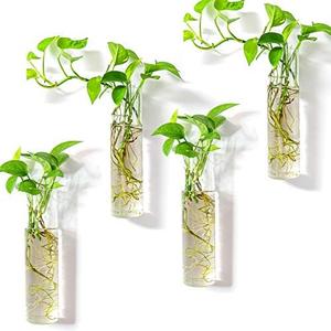 Kingbuy Wall-Mounted Plant Terrarium Propagation Station - 2 Cylinder Hanging Glass Tubes Planter for Hydroponic Plants, Indoor Wall Vases & Decorative Plant Holder Bathroom Office Living Room Decor (2 Pack)