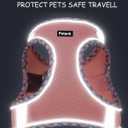 Petank Dog Harness for Small Medium Dogs No Pull, Puppy Harness and Leash Set, Step in Dog Harness for Walking, Running, Training(Black, S)