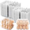 SINLUCESCE 100 Packs 12 Count Clear Plastic Egg Cartons, 3 * 4 Grids Design, Perfect for Family, Farm, Markets, Display(Large)