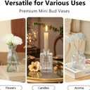 RUCKAE Small Clear Bud Vases Bulk 12 Pack Mini Flower Glass Vases for Centerpiece Table Wedding Decorations Home Decor Party