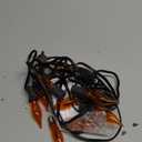 PASUTO Flickering Flame String Lights Orange Halloween Lights with 10 Pack C7 Orange Flickering Light Bulbs, 12.8Ft Flame String Lights for Fall Decor Halloween Decorations for Home Party Yard Porch