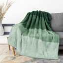 PAVILIA Fluffy Sherpa Throw Blanket Ombre | Gradient Plush, Soft, Fuzzy, Decorative Accent Throw Blanket for Couch Sofa Bed | Cozy Warm Decorative Furry Faux Fur Blanket, 50x60 Inches Green