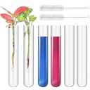 6 Pcs 100ml Large Glass Test Tube,3.3 Borosilicate Clear Big Glass Test Tube Vase for Scientific Experiment,30mm ODx200mm Length Round Bottom Test Tubes for Hydroponic Flower Home Office Decor