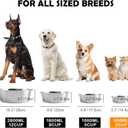 Stainless Steel Dog Bowls with Mat - Non-Slip EVA Rubber Bottom, Food & Water Bowl for Dogs, Cats - Dishwasher Safe (17oz bowl + 11.8*19.6'' mat)